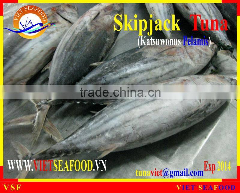 W/R FROZEN SKIPJACK TUNA