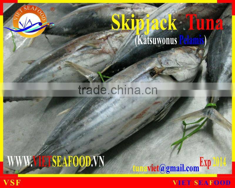 W/R FROZEN SKIPJACK TUNA