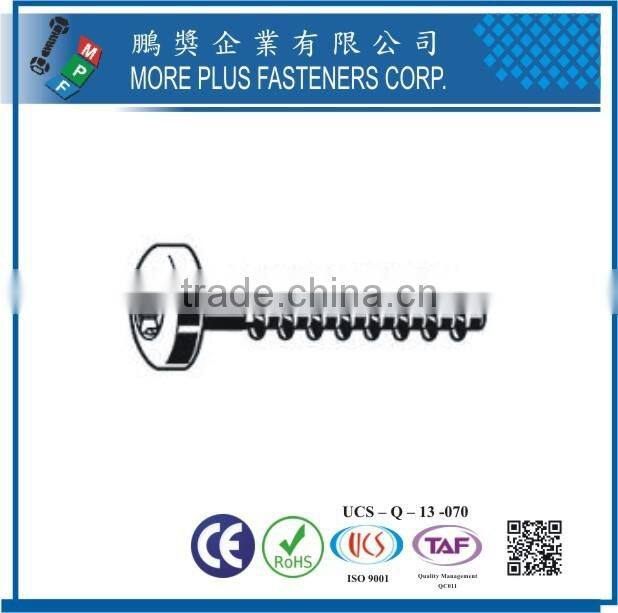 Maker in Taiwan Hot sales Stainless Steel Thread Forming Screws
