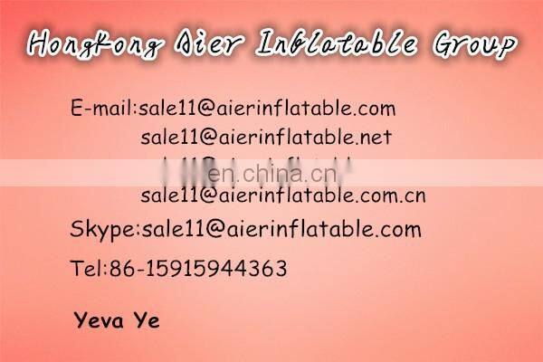 Giant Double Lane Inflatable Slide Bouncer