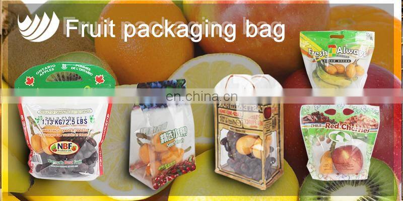 Resealable bags zip lock fruit packaging bags for grape cherry with handles