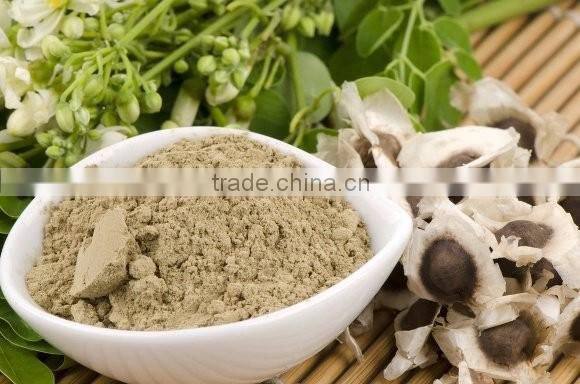 High Qualiity Moringa Seed powder Bulk Producers