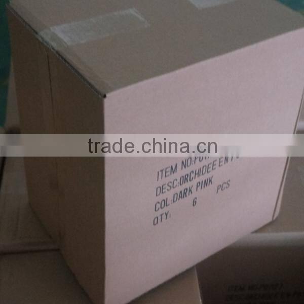 Colourful Bonsai Plants For Sale