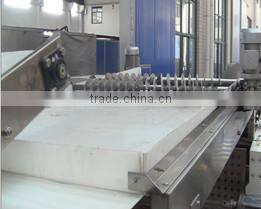 High technology complete full automatic potato chips production line