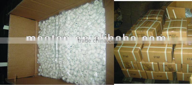 Plywood Screw