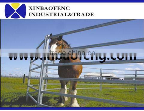 used corral panels horse fence panel galvanized cheap cattle panels for sale
