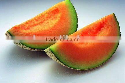 Red Star No.3 middle mature hybrid f1 melon seeds