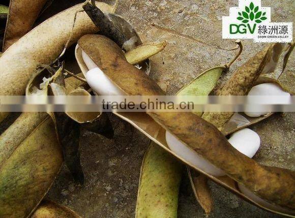 bulk white kidney dried beans wholesale