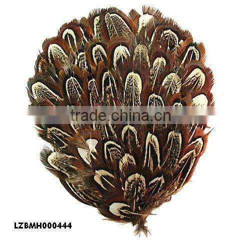 ringneck church window pad LZXZ00584