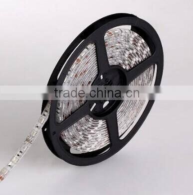 Smd3528 60leds IP67 2cold color 12V bright led strip