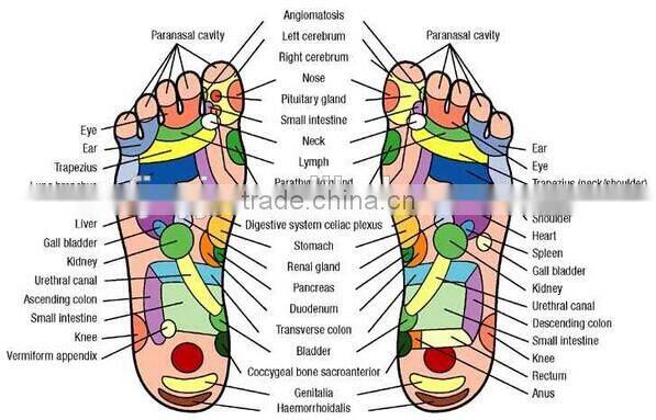 Ceragem foot massage machine price