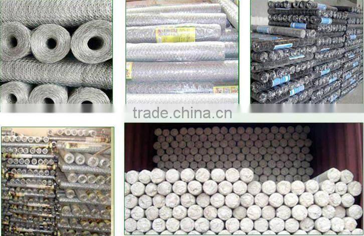 galvanized hot dipped hexagonal wire mesh