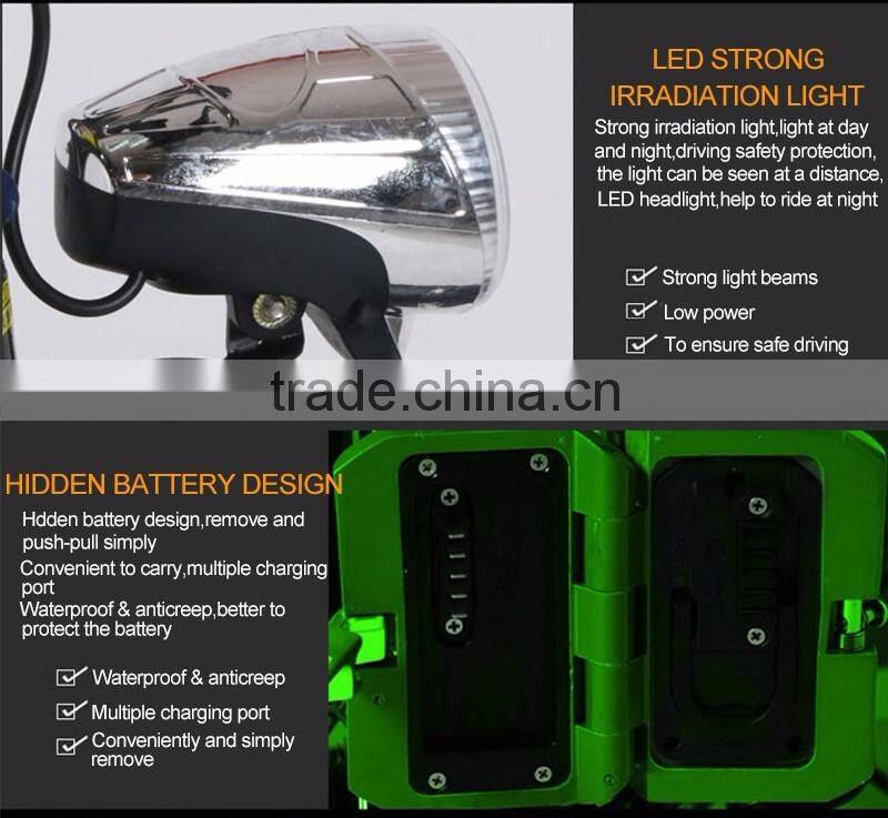 36V 350W brushless motor E BIKE/fastest e bike with lithium battery