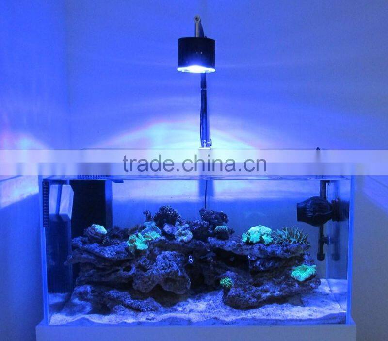 Factory direct selling custom luxury acrylic fish aquarium light clear acrylic fish tank