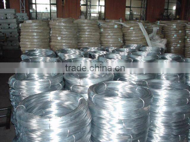 Black Annealded Iron Wire Supplier From Anping China