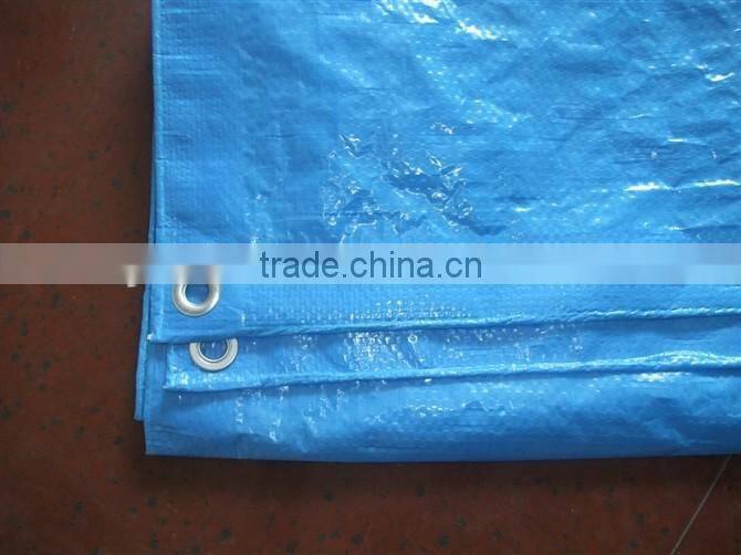33 'x46' BLUE Polyethyle ROOFING CONTRACTORS HURRICANE TARPS FOR Temporary Roofing Tarps