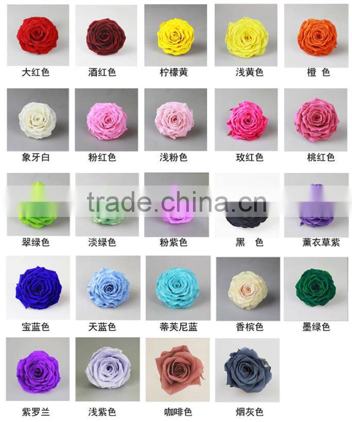2016 Yiwu Aimee wholesale Valentine's Day gift preserved fresh cut flower(AM-PF04)