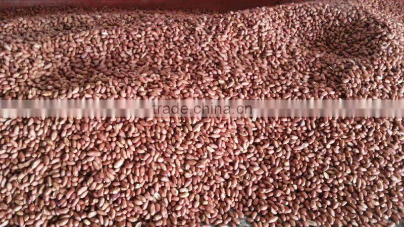 Roasted peanuts with skin, Roasted peanut kernels, Plain Roasted Peanut kernels.