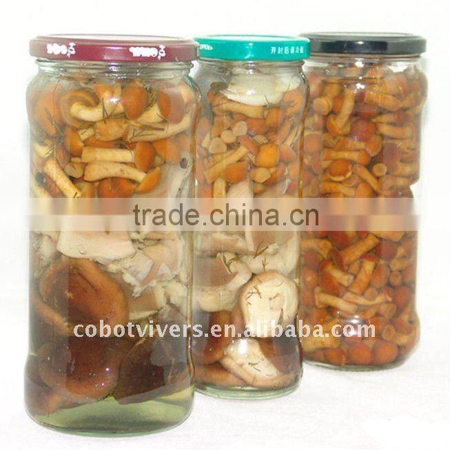 canned fresh vegetable bamboo shoots