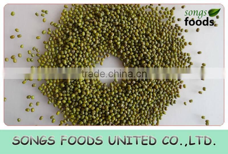 Green Mung Bean with Best Quality