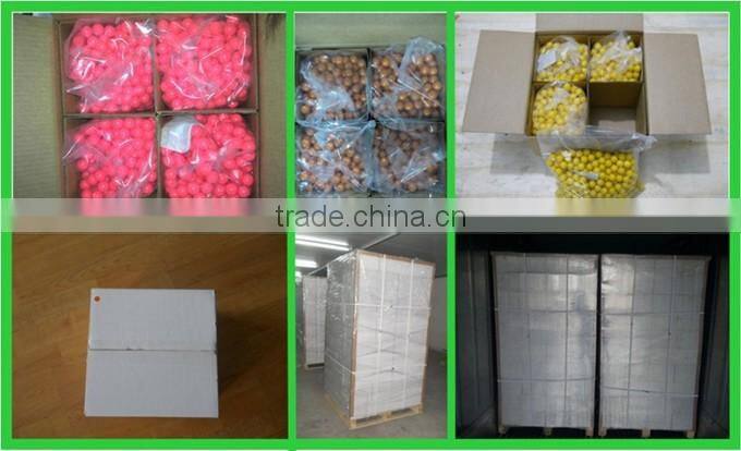 Paintball Balls/Gun Paintball From Shijiazhuang Supplier