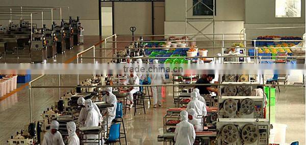 seasoning powder boullion cube factory price