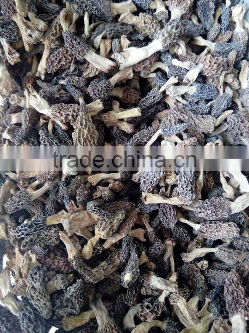 black morel mushroom market price dried morel mushroom magic mushrooms dried