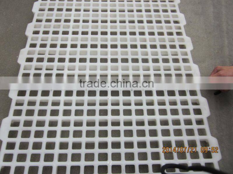 chicken nipple drinkers