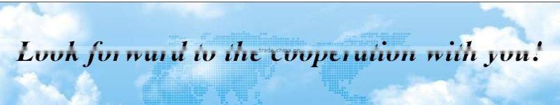 pp woven sugar/flour sack 50kg with PE liner