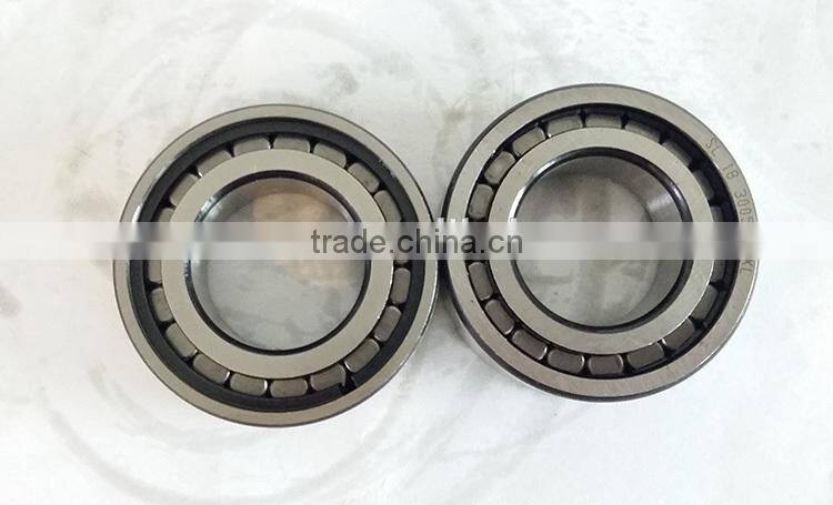 Two Way Full Complement Cylindrical Roller Bearing SL183006