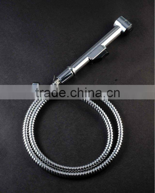 11.5mm S.S shower hose/ACS&CE approved