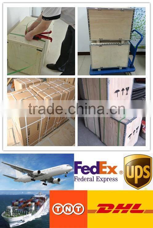 GYY 5L Circulating Water Bath with 5L Stainless Steel Tank