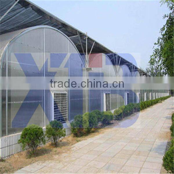 Single layer plastic film multi-span greenhouse