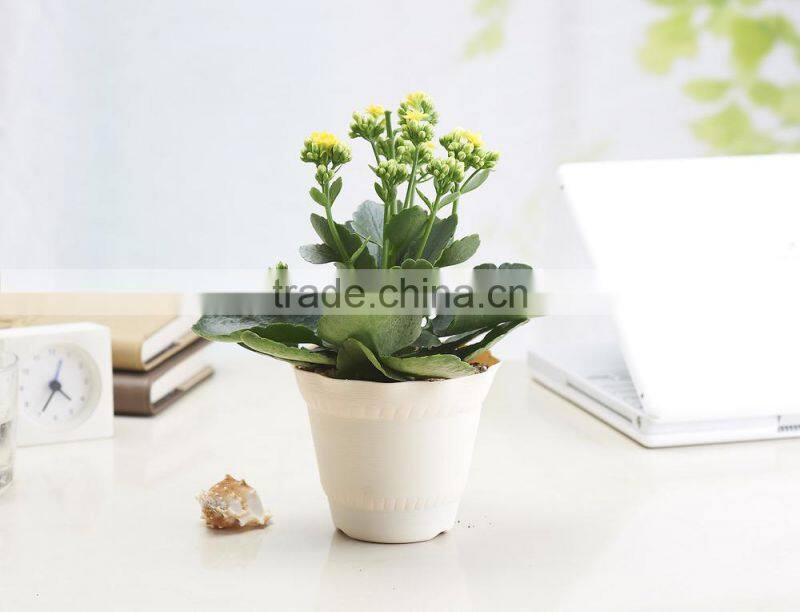 Fashional Design Lotus Shaped Plastic Plant Flower Pot which has 6 Kinds of Colors