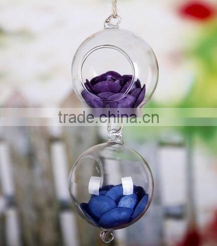 Air Plant Glass Terrarium, Handblown Glass Terrarium