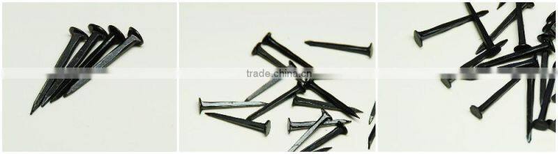 Black Shoe Tack Nail From China Manufacture