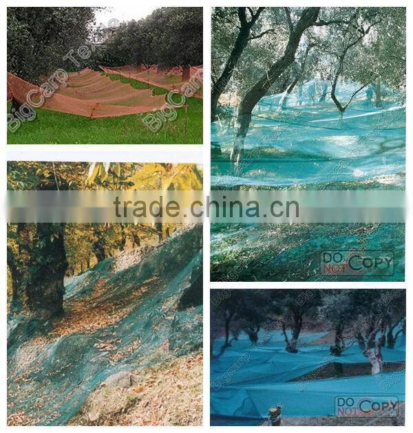 olive harvest net