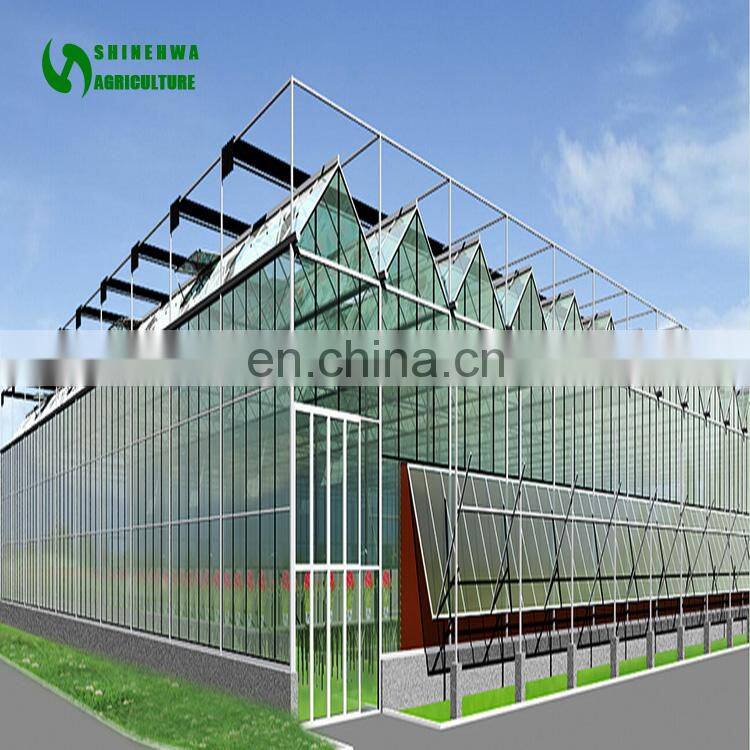2017 Commercial Agricultural Aquaponics Greenhouse For planting vegetables