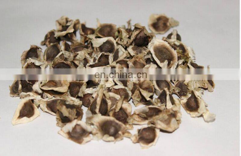 Factory price good quality moringa seed shelling machine