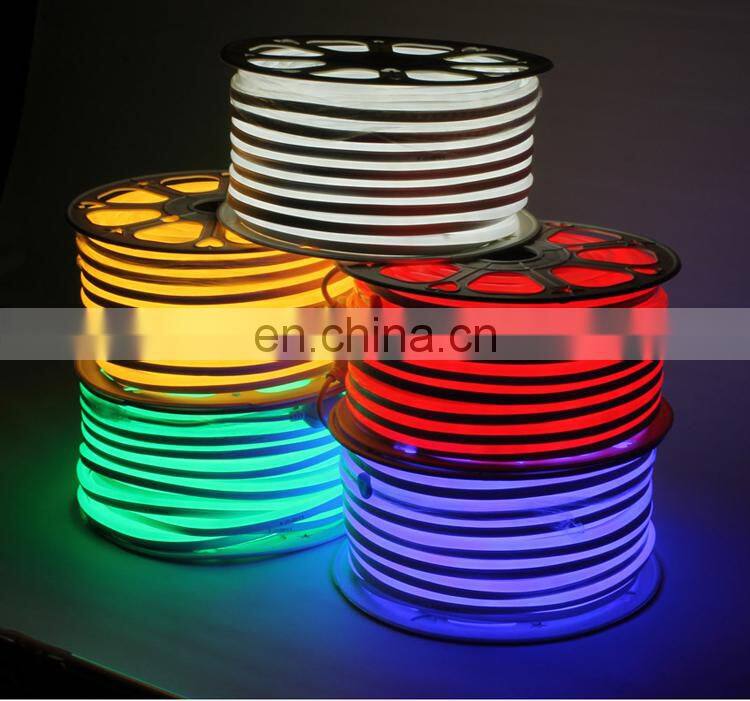 Soft More than PVC Ice Blue silicone u shape led neon tube flexible