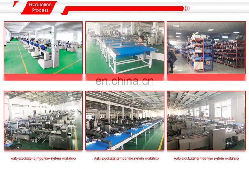Biscuit/Wafer/Cookie/Bread/Cake/Food Full Servo Automatic Flow /Packing /Packaging/Wrapping Machine