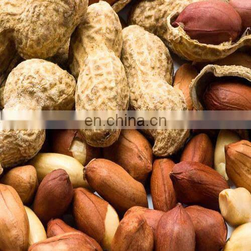 Cheap Price Dried Groundnut Bulk Raw Peanut In Shell
