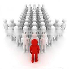 WEIHUA Electric Hoist Crane 5 Ton