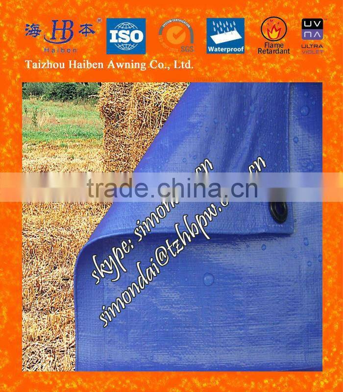 Agricultural PE Tarp Sheet Tarpaulin Sheet for Roof Cover
