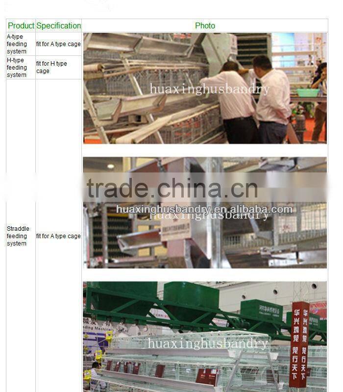 Best selling hen house design with full automatic system