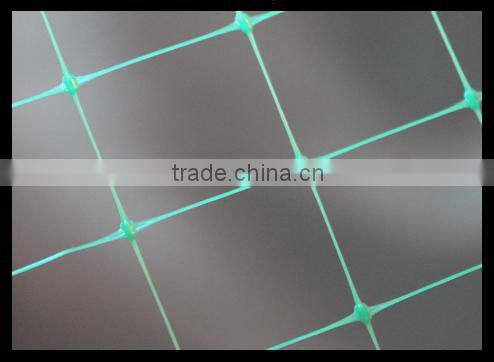 PP Erosion control net /Slope protection net manufacture