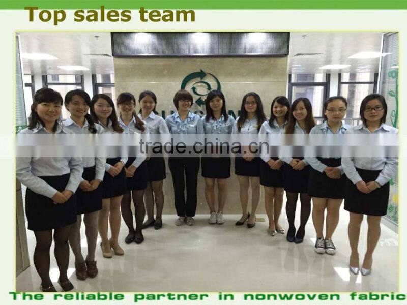 Customized Logo PP Non woven/ Non-woven Fabric Bag, Nonwoven Fabric Raw Material for Bag Making