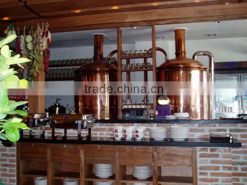 Smal bars brewery equipment, Promotional Beer brewery equipment, Double jacketed Beer Fermentation Tank
