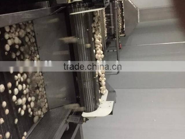 wholesale frozen champignon mushroom