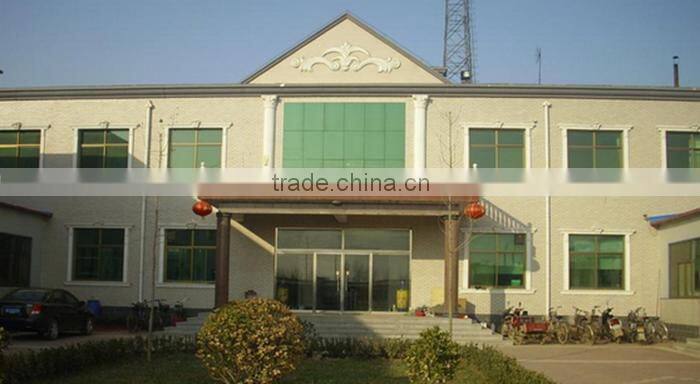 Helilai Hot selling Ladies Unlined Sheep Leather Gloves Women Winter Leather Motorcycle Gloves